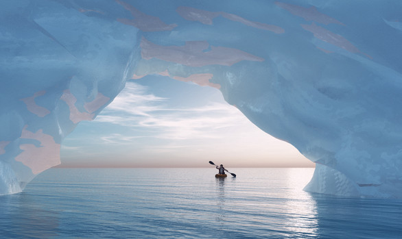 Workshop fotografico Groenlandia con Luca Bracali : balena nel mare del nord