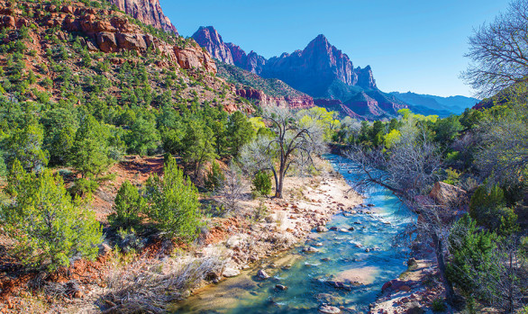 Workshop fotografico parchi USA con Luca Bracali - Zion National Park