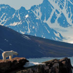 Luca Bracali workshop e viaggio fotografico isole Svalbard