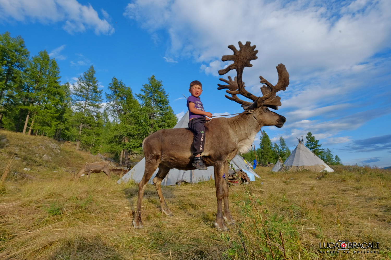 Mongolia_2017_luca_bracali_14