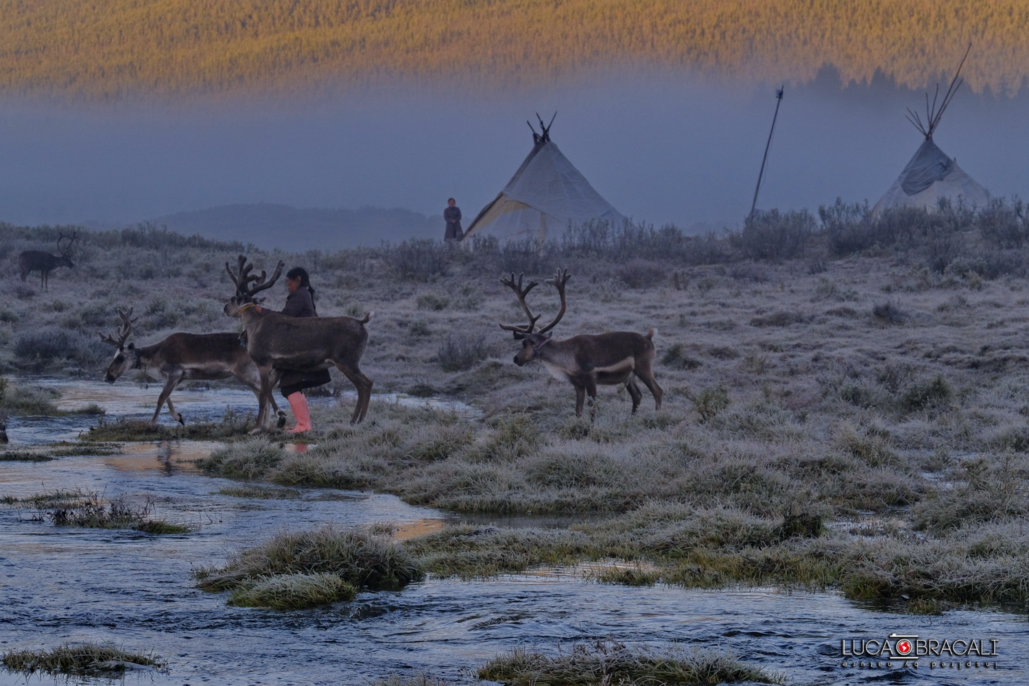 Mongolia_2017_luca_bracali_20