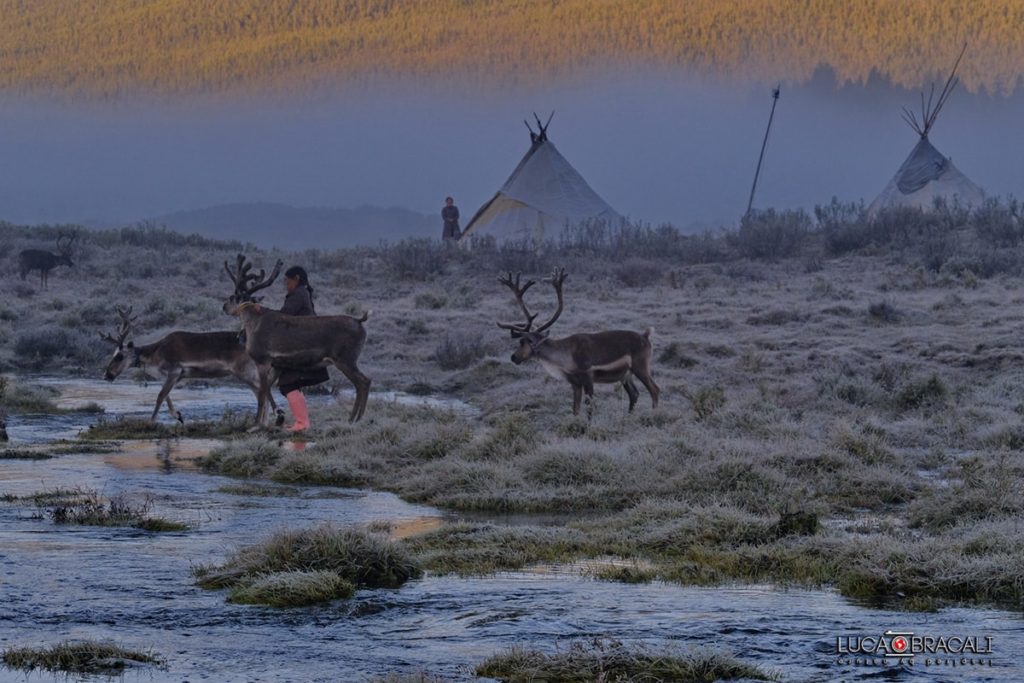 Mongolia: workshop e viaggio fotografico con Luca Bracali