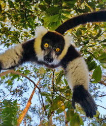 Viaggio fotografico in Madagascar con Luca Bracali