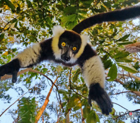 Viaggio fotografico in Madagascar con Luca Bracali