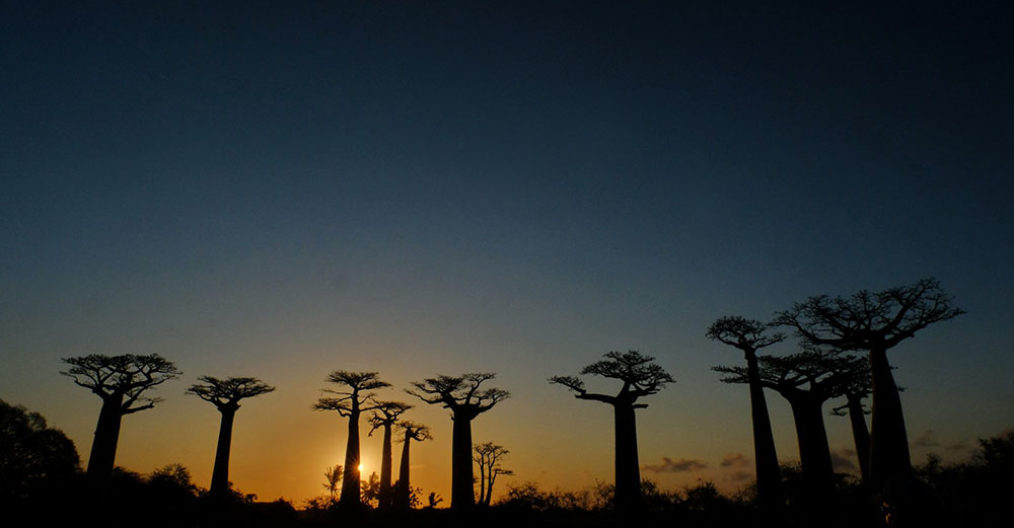 Viaggio fotografico in Madagascar con Luca Bracali