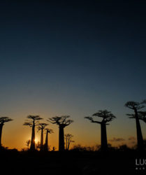 Viaggio fotografico in Madagascar con Luca Bracali