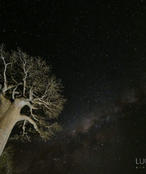 Viaggio fotografico in Madagascar con Luca Bracali