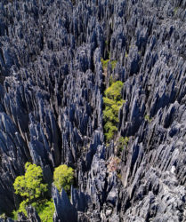 Viaggio fotografico in Madagascar con Luca Bracali