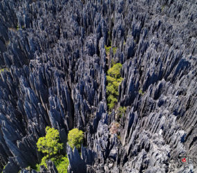 Viaggio fotografico in Madagascar con Luca Bracali