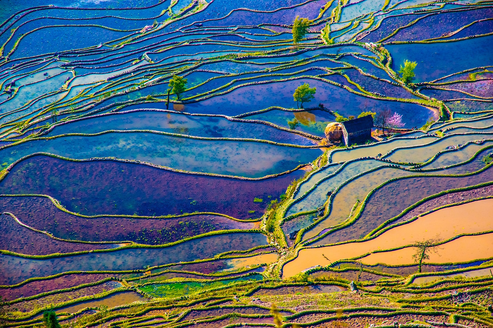 Viaggio fotografico in Cina con Luca Bracali