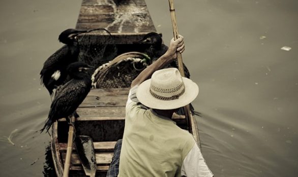 Viaggio fotografico in Cina, pescatore con cormorani