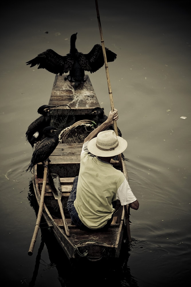 Viaggio fotografico in Cina, pescatore con cormorani