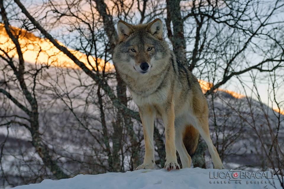 Viaggio fotografico Norvegia 2018 – 02