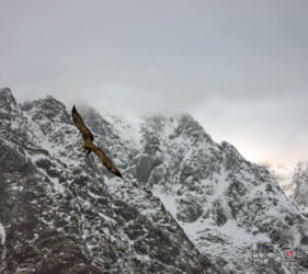 Viaggio fotografico in Norvegia con Luca Bracali