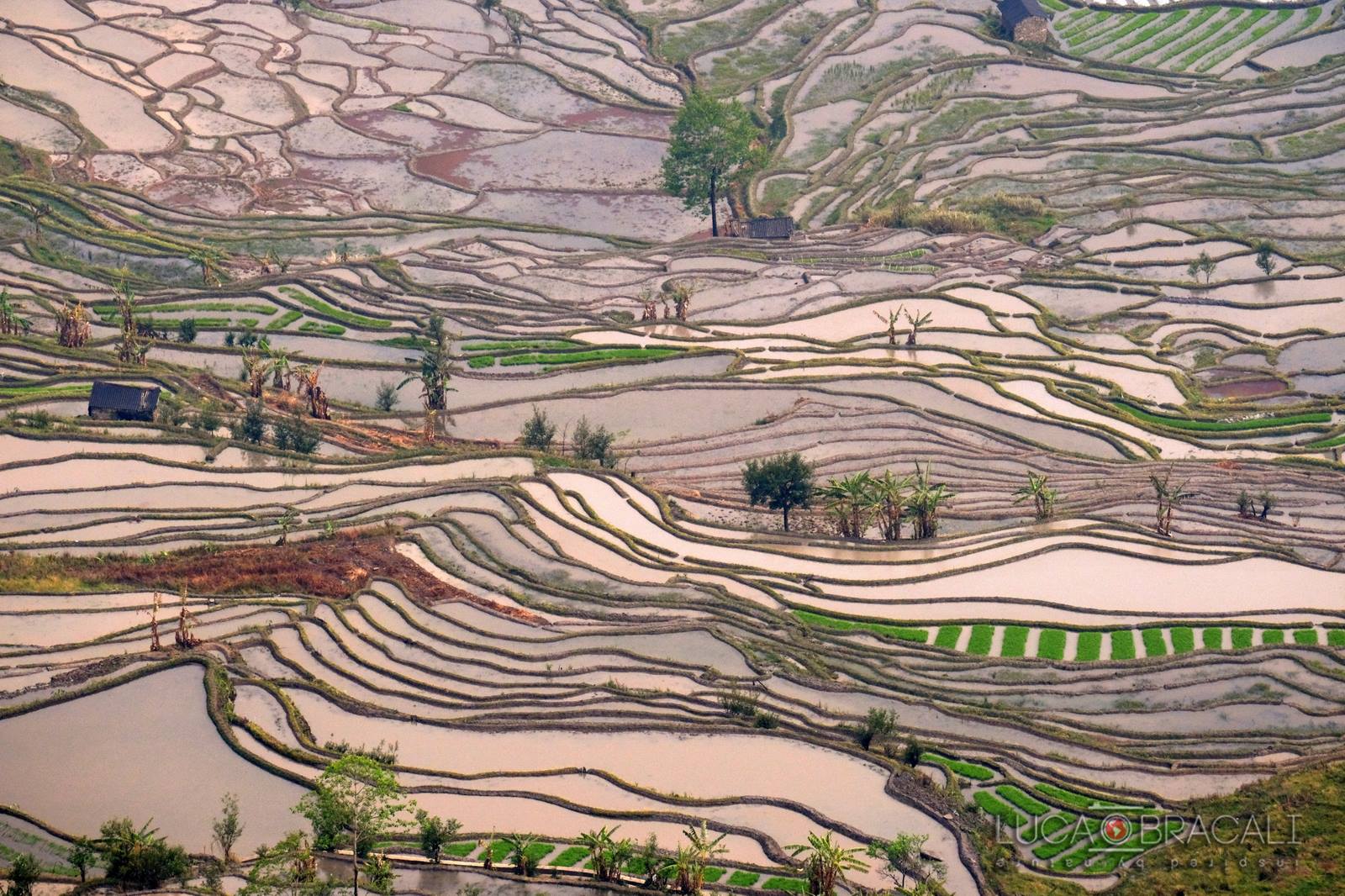 viaggio_fotografico_cina_2018_pecatori_comorani_20