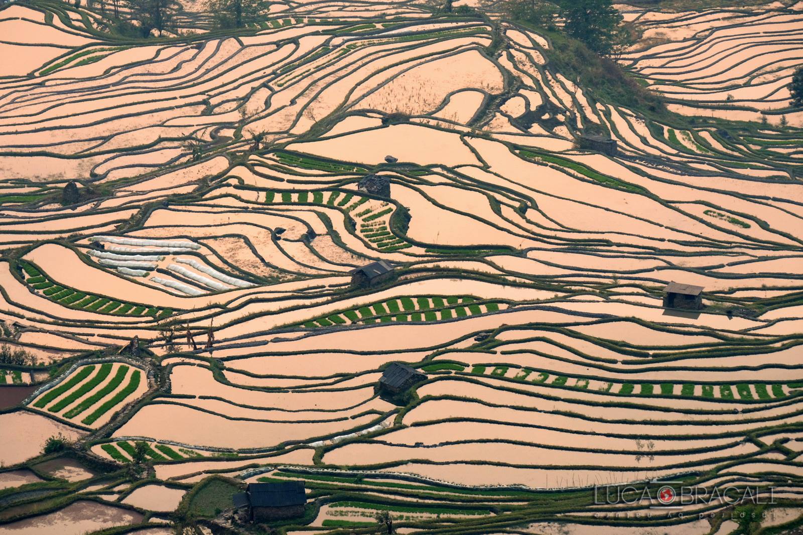 viaggio_fotografico_cina_2018_pecatori_comorani_21