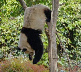 Viaggio fotografico in Cina