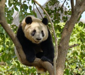 Viaggio fotografico in Cina