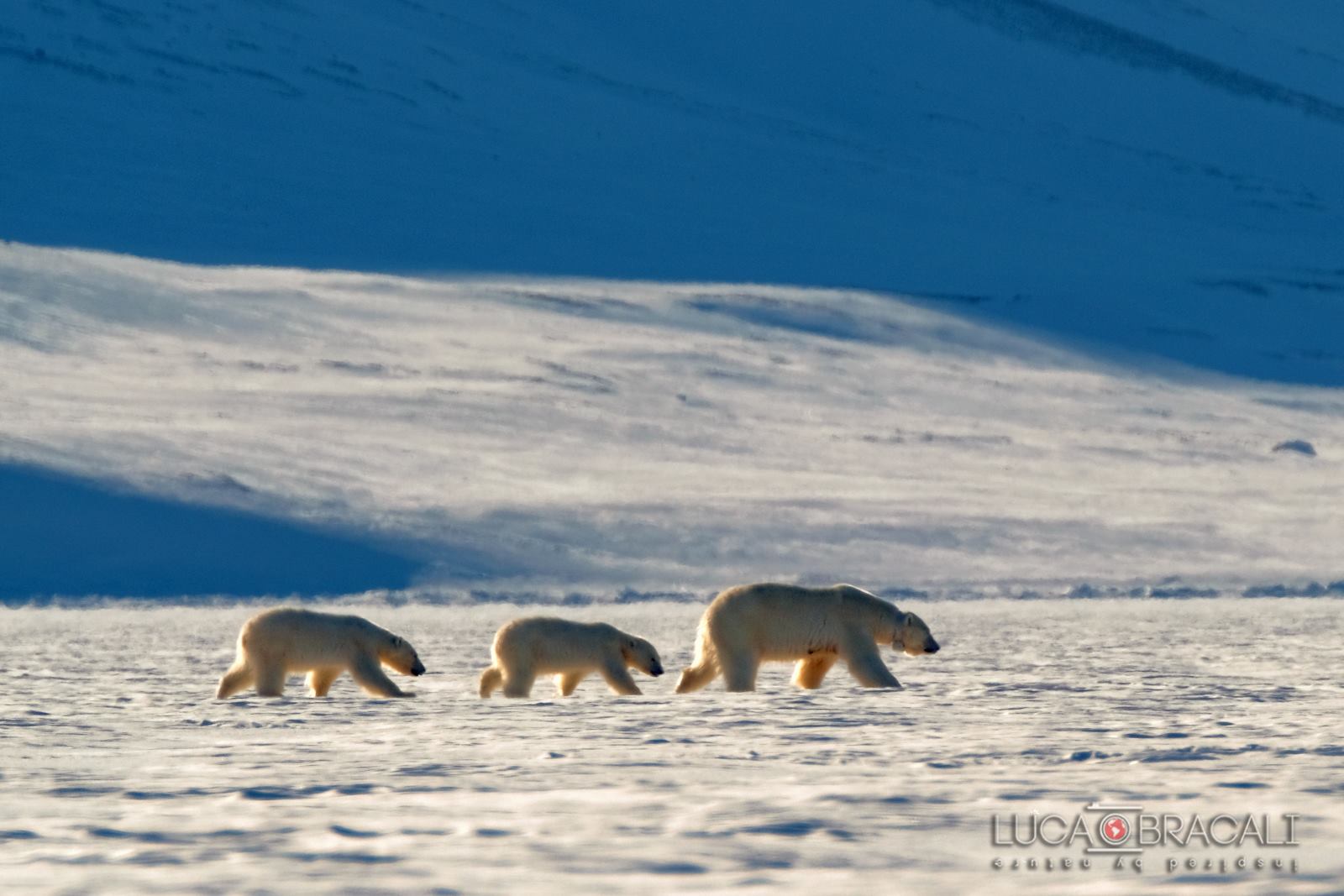 svalbard_2018