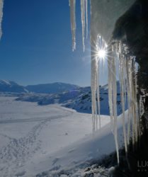 Viaggio fotografico Isole Svalbard con Luca Bracali