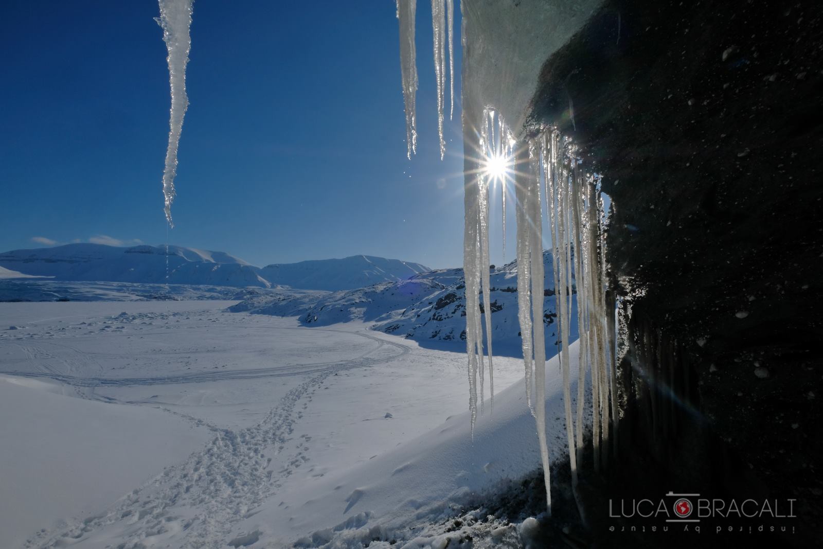 svalbard_ice_view_2018