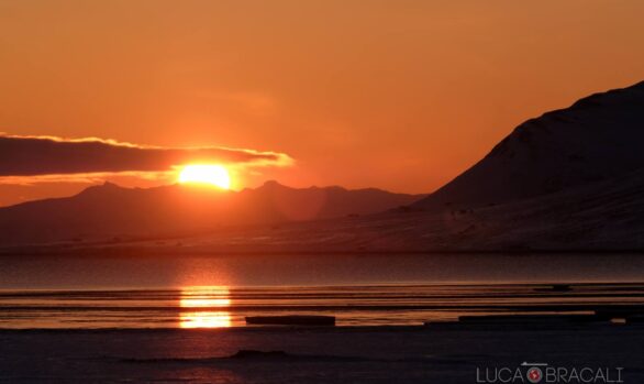 Viaggio fotografico Isole Svalbard con Luca Bracali