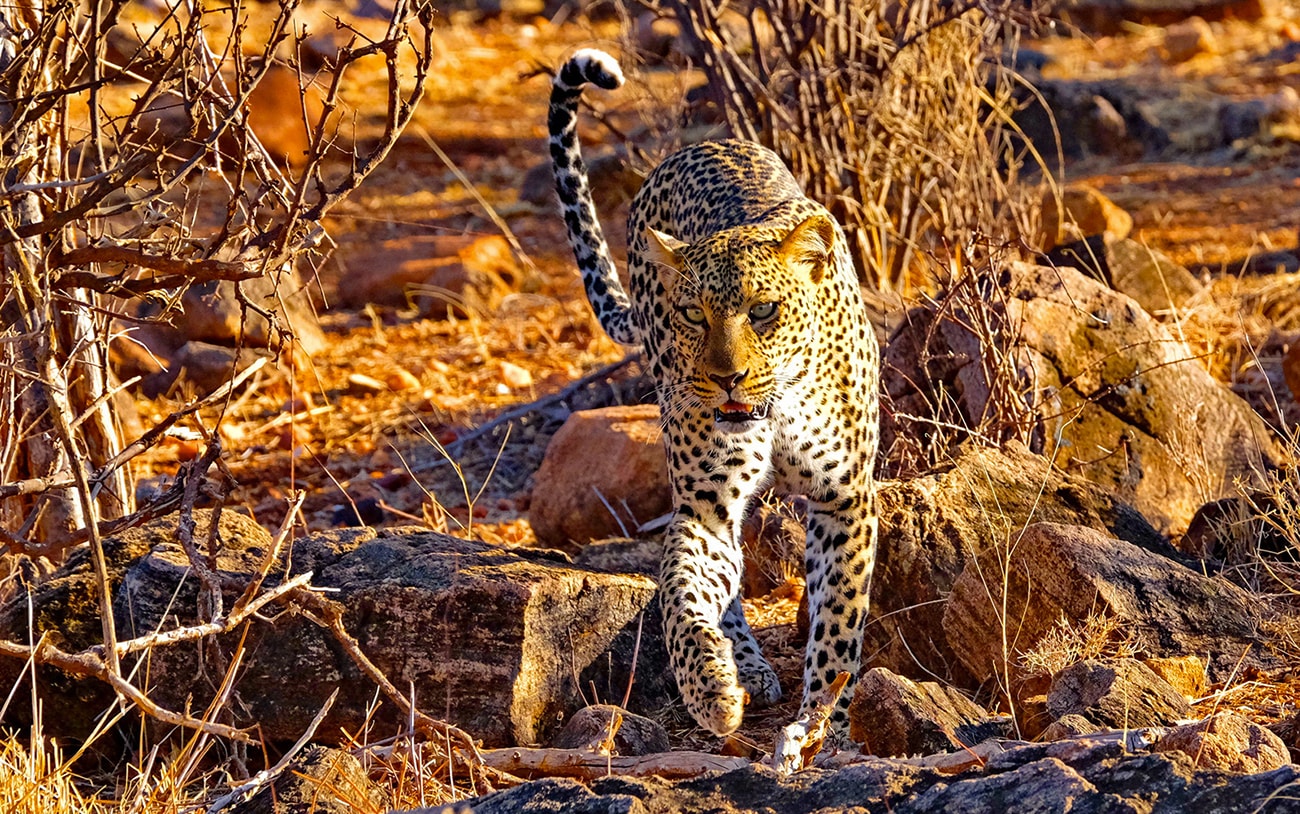 viaggio_fotografico_kenya_10-min