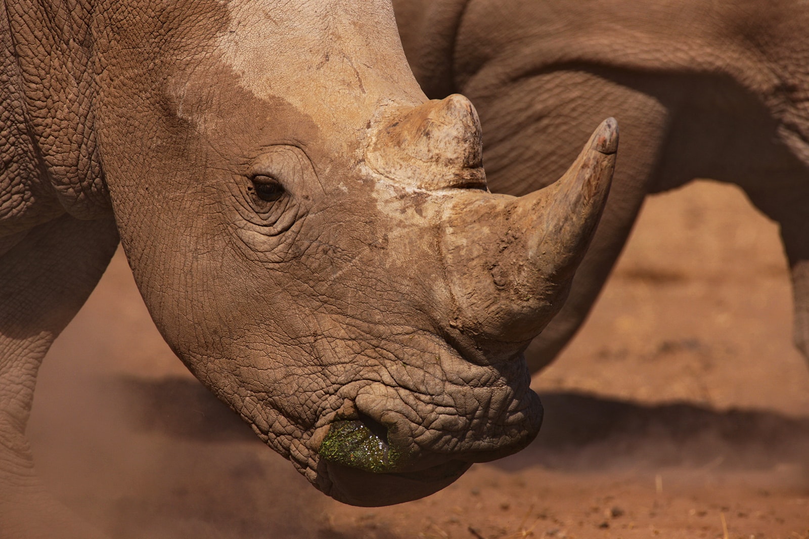 viaggio_fotografico_kenya_13-min