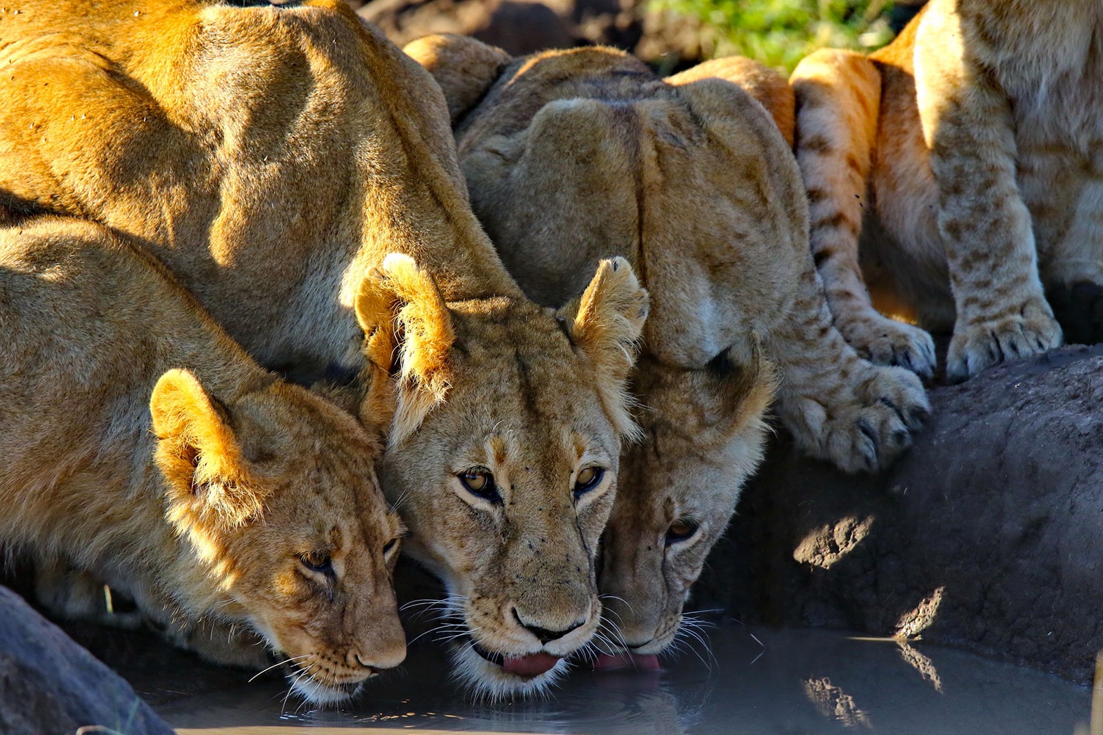 viaggio_fotografico_kenya_3-min