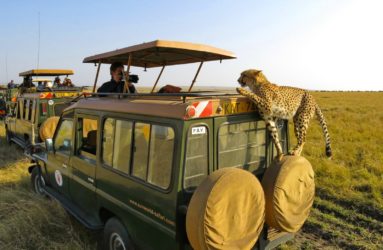 Viaggio fotografico in Kenya con Luca Bracali