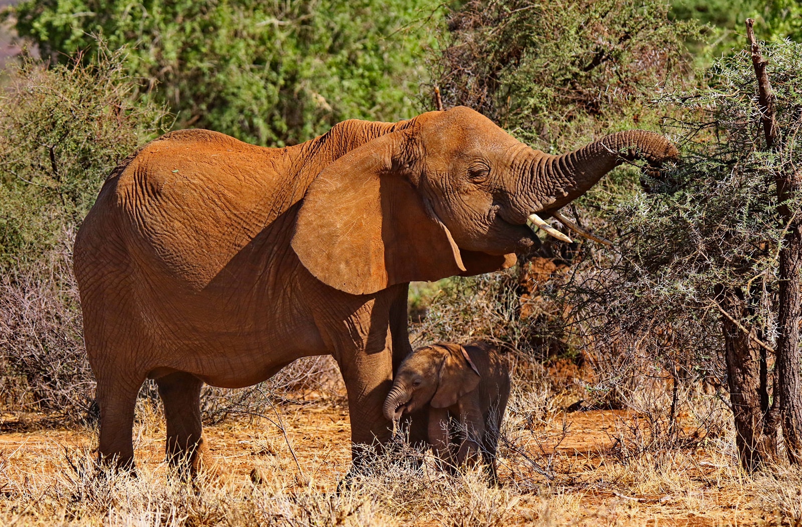 viaggio_fotografico_kenya_6-min