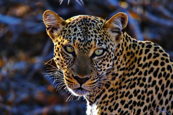Viaggio fotografico in Kenya