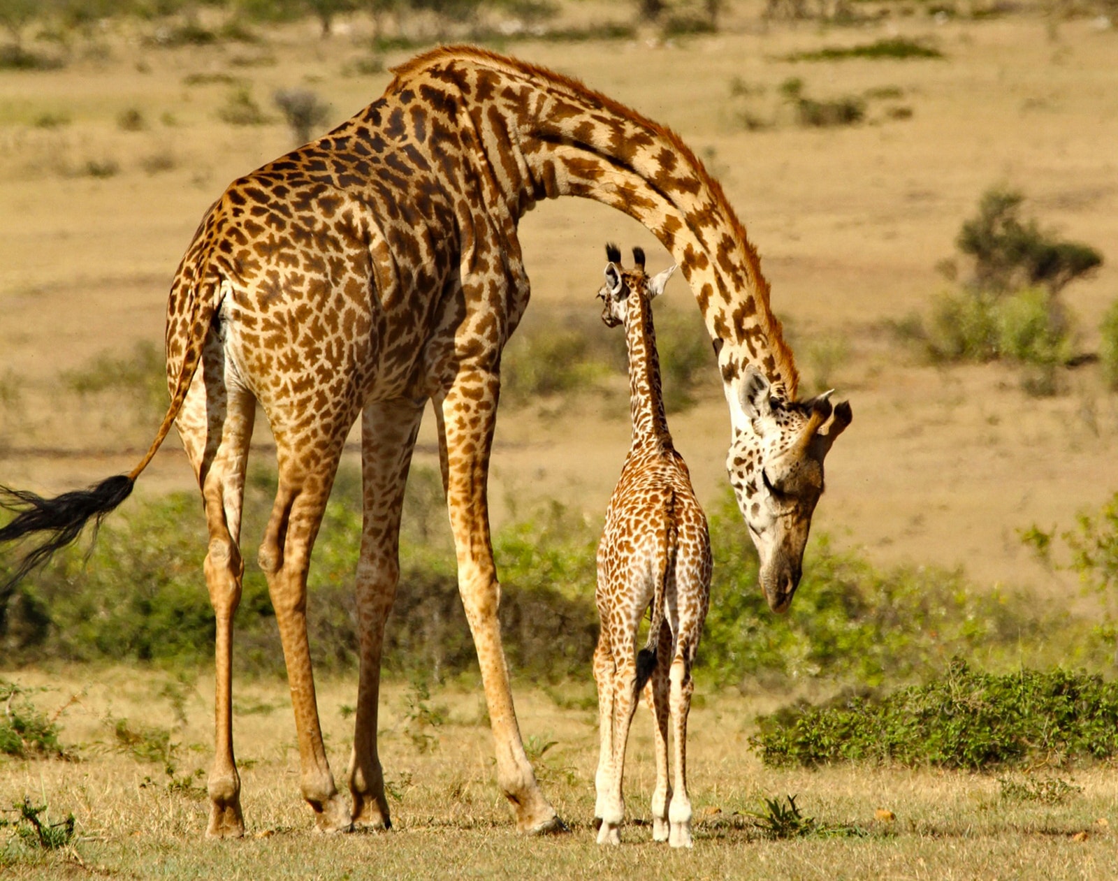 viaggio_fotografico_kenya_8-min