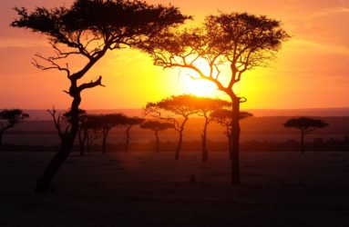 Viaggio fotografico in Kenya con Luca Bracali