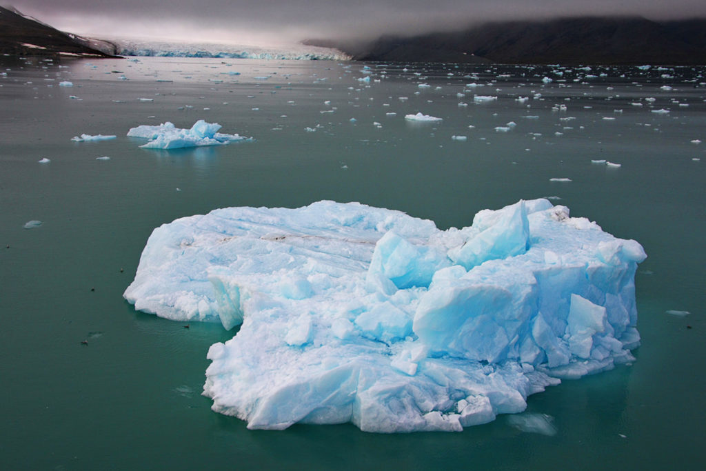 Svalbard Iceberg