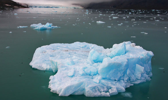 Svalbard Iceberg