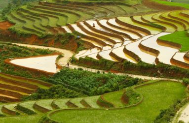 Viaggio fotografico in Vietnam con Luca Bracali