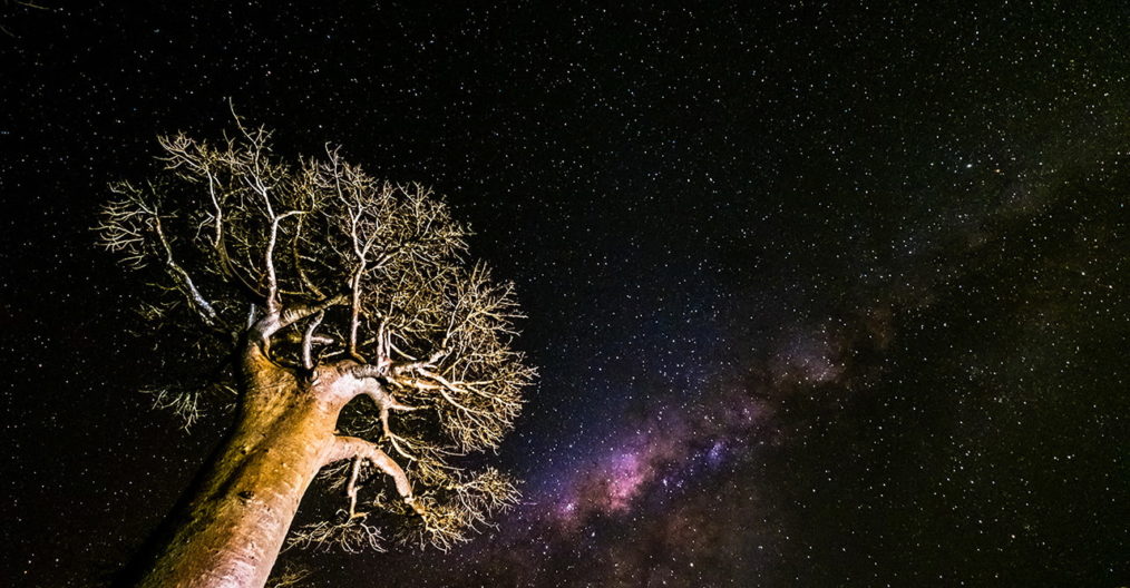 Viaggio fotografico Madagascar con Luca Bracali