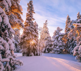 Viaggio fotografico in Finlandia