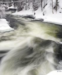 Viaggio fotografico in Lapponia, Finlandia - foto di Luca Bracali