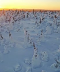 Viaggio fotografico in Finlandia con Luca Bracali -