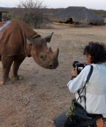 Viaggio fotografico in Kenya con Luca Bracali e Laura Scatena, foto di backstage, Rinoceronte