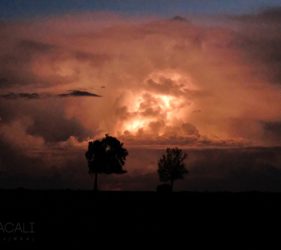 Viaggio fotografico in Kenya, Masai Mara