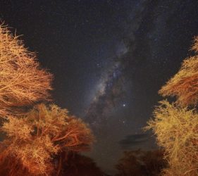 Viaggio fotografico in Kenya, Masai Mara