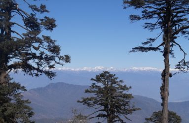 Viaggio fotografico in Bhutan con Luca Bracali