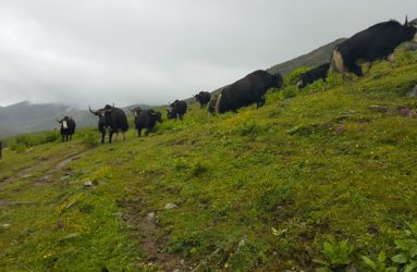 Viaggio fotografico in Bhutan con Luca Bracali