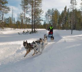 Finlandia e Norvegia con Luca Bracali