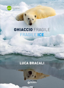 Ghiaccio fragile, libro di Luca Bracali