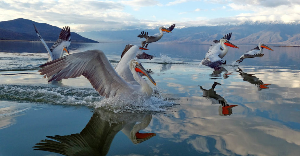 Viaggio fotografico in Grecia con Luca Bracali