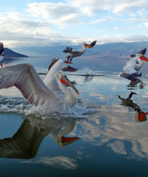 Viaggio fotografico in Grecia con Luca Bracali